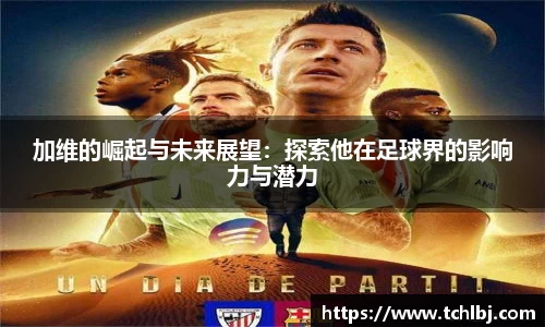 新葡萄8883官网amg
