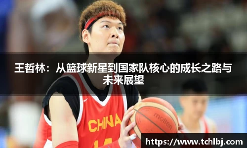 王哲林：从篮球新星到国家队核心的成长之路与未来展望